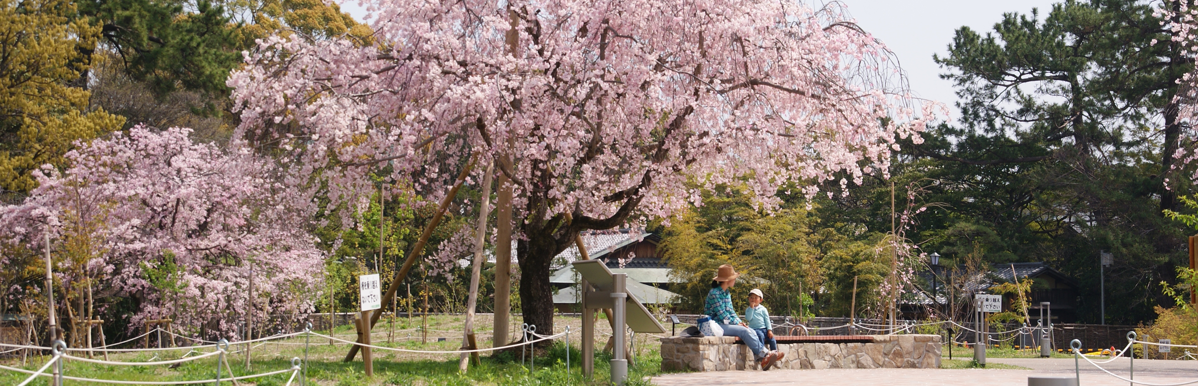 伊丹市緑ケ丘公園