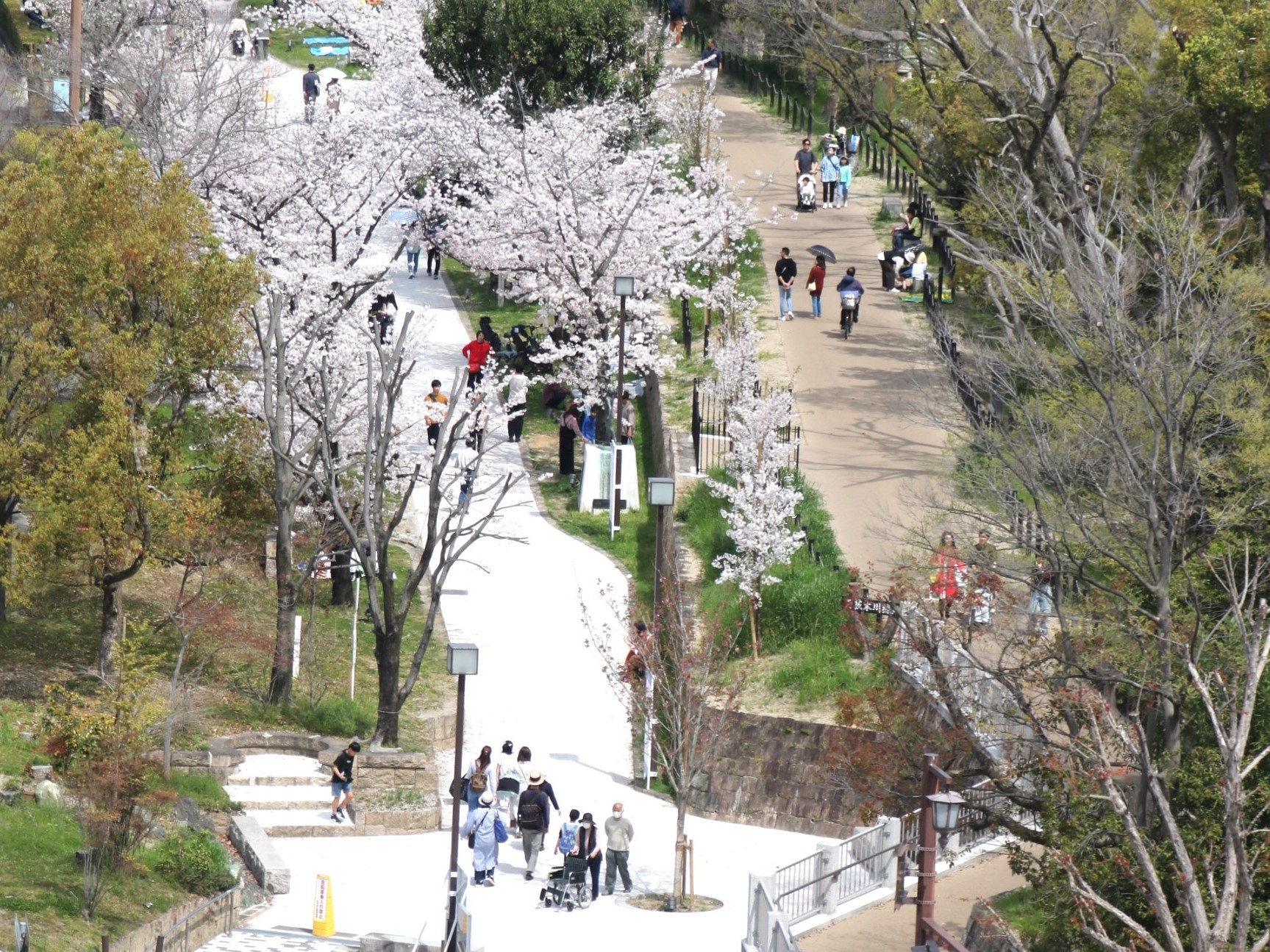 元茨木川緑地リ・デザイン推進業務