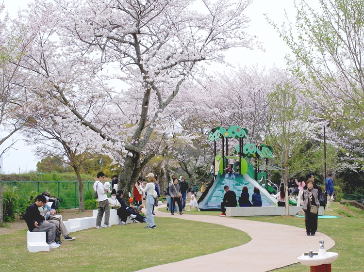 泉佐野市大井関公園（実施設計）